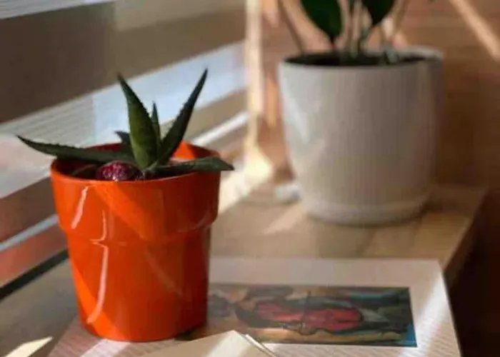 Cloud9 Bllok Area Tirana